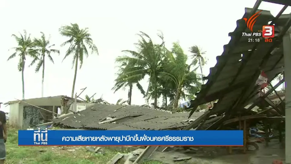ความเสียหายหลังพายุปาบึกขึ้นฝั่งนครศรีธรรมราช