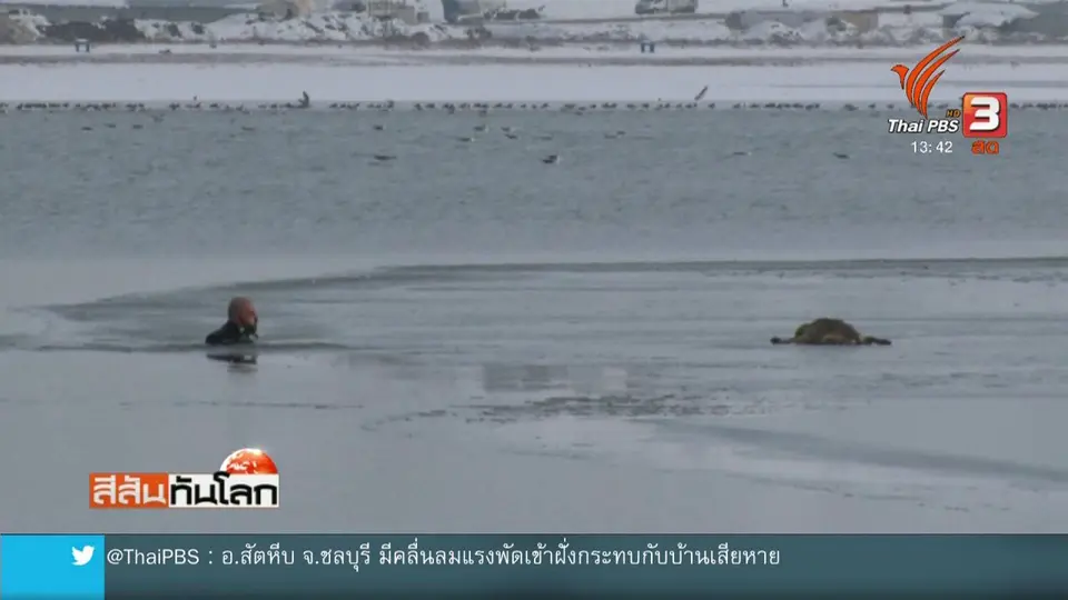ฝ่าทะเลสาบน้ำแข็งช่วยชีวิตลูกสุนัข