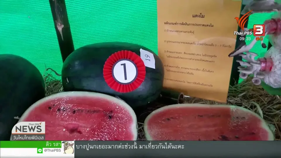 สีสันทั่วไทย (18 ม.ค. 62)