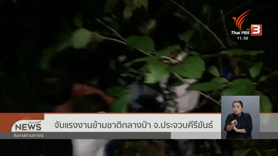 จับแรงงานข้ามชาติกลางป่า จ.ประจวบคีรีขันธ์