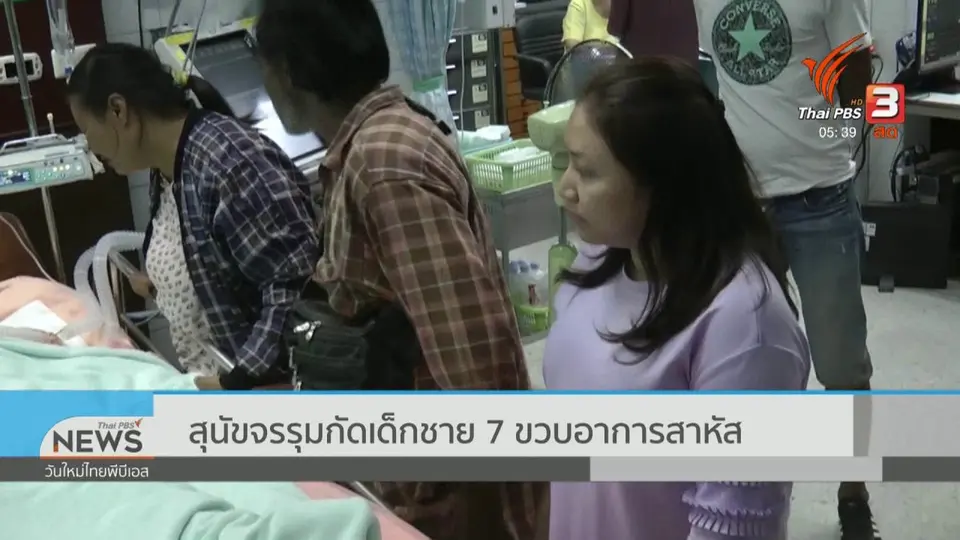 สุนัขจรรุมกัดเด็กชาย 7 ขวบอาการสาหัส