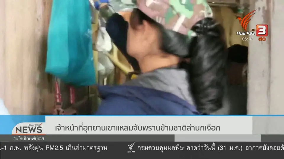 เจ้าหน้าที่อุทยานเขาแหลมจับพรานข้ามชาติล่านกเงือก