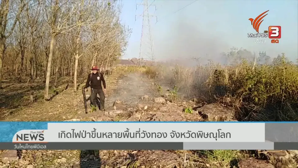 ​เกิดไฟป่าขึ้นหลายพื้นที่วังทอง จังหวัดพิษณุโลก