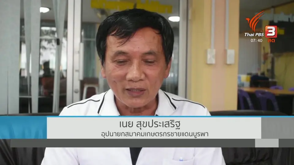 ปากท้องต้องรู้ : พลังงานทดแทน ความหวังชาวไร่อ้อยพ้นวิบากกรรม