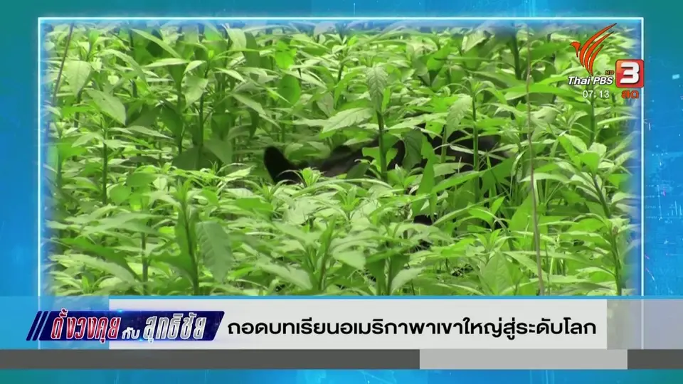 ตั้งวงคุยกับสุทธิชัย : ถอดบทเรียนอเมริกาพาเขาใหญ่สู่ระดับโลก