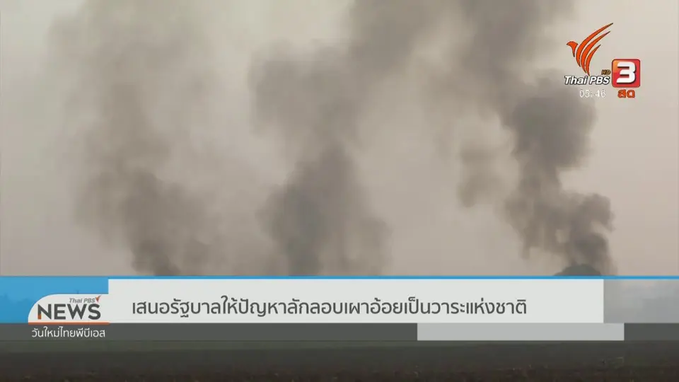 ​​เสนอรัฐบาลให้ปัญหาลักลอบเผาอ้อยเป็นวาระแห่งชาติ