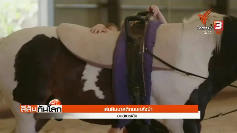 เล่นยิมนาสติกบนหลังม้า