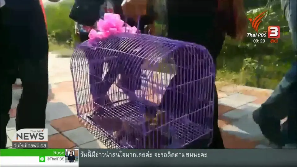 สีสันทั่วไทย (20 ก.พ. 62)