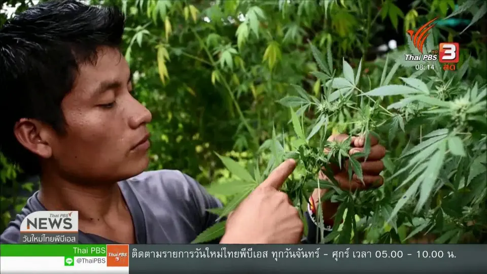 จับตาข่าวเด่น (21 ก.พ. 62)