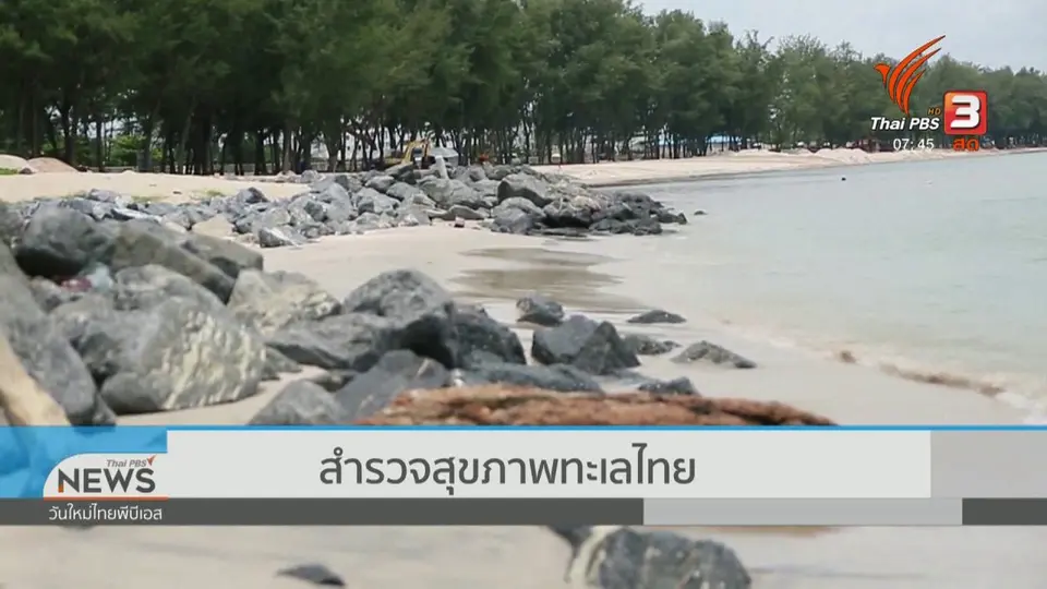 C-site Report : การจัดการขยะจากทะเลไทย
