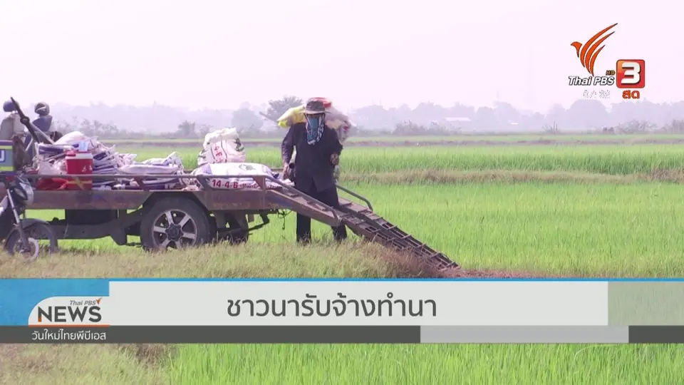 ลงทุนทำกิน : หนทางสร้างรายได้ของเกษตรกร