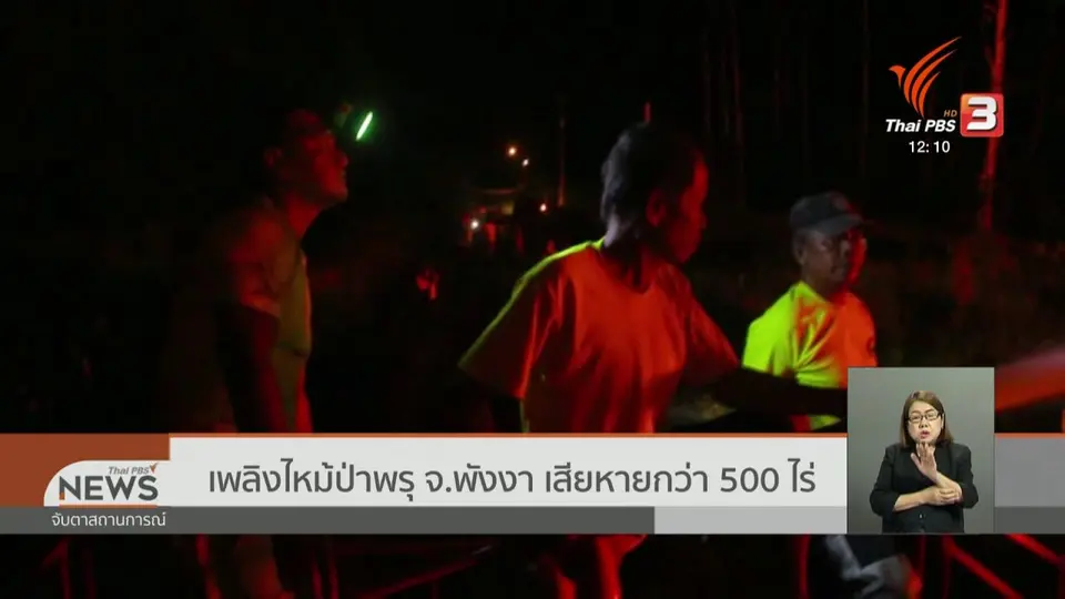 เพลิงไหม้ป่าพรุ จ.พังงา เสียหายกว่า 500 ไร่
