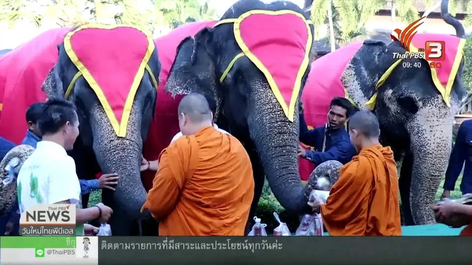 ​สีสันทั่วไทย (14 มี.ค. 62)