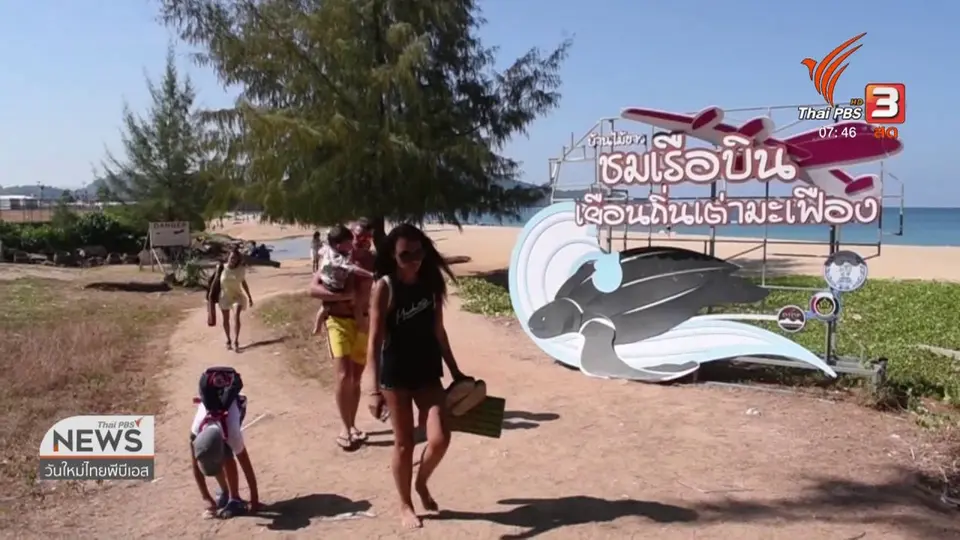 C-site Report : สัตว์ทะเลเหยื่อขยะ