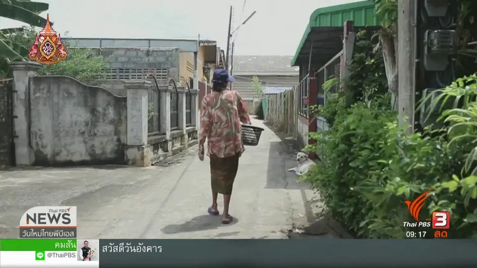 ​ประเด็นทางสังคม : "พลังเห็ด" พลิกชีวิตผู้ป่วยซึมเศร้า