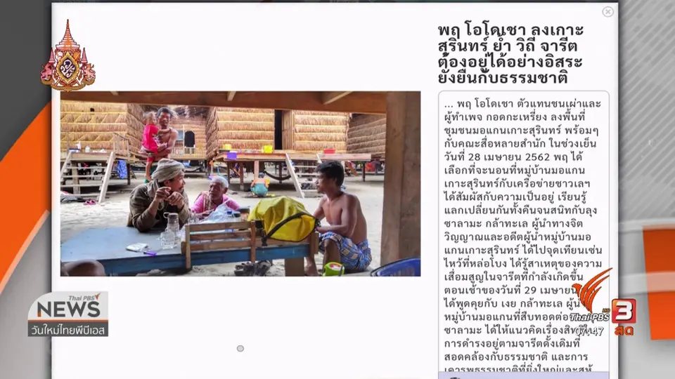 ​C-site Report : คืนชีวิต จากป่าสู่เมือง