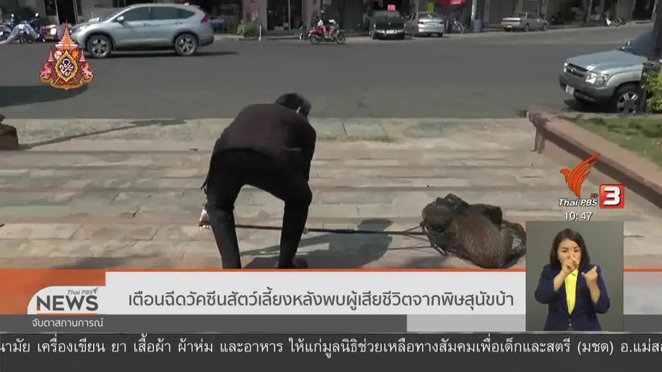 ​เตือนฉีดวัคซีนสัตว์เลี้ยงหลังพบผู้เสียชีวิตจากพิษสุนัขบ้า
