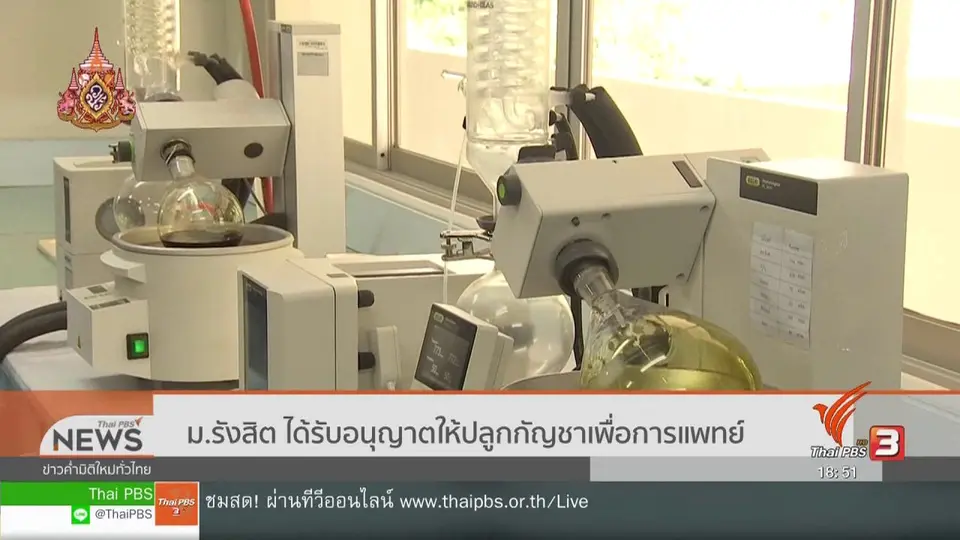 ม.รังสิต ได้รับอนุญาตให้ปลูกกัญชาเพื่อการแพทย์