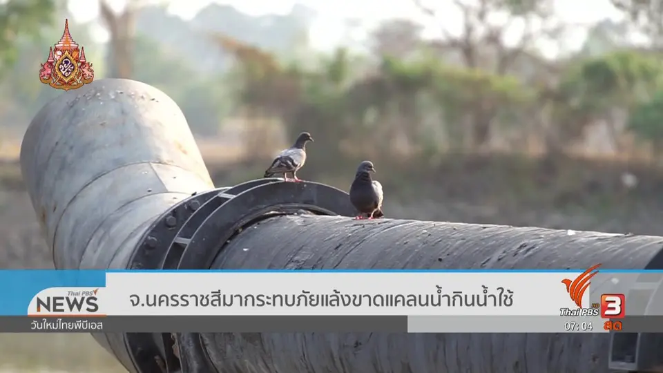 ​รวมใจฝ่าภัยแล้ง : จ.นครราชสีมา กระทบภัยแล้ง ขาดแคลนน้ำกินน้ำใช้