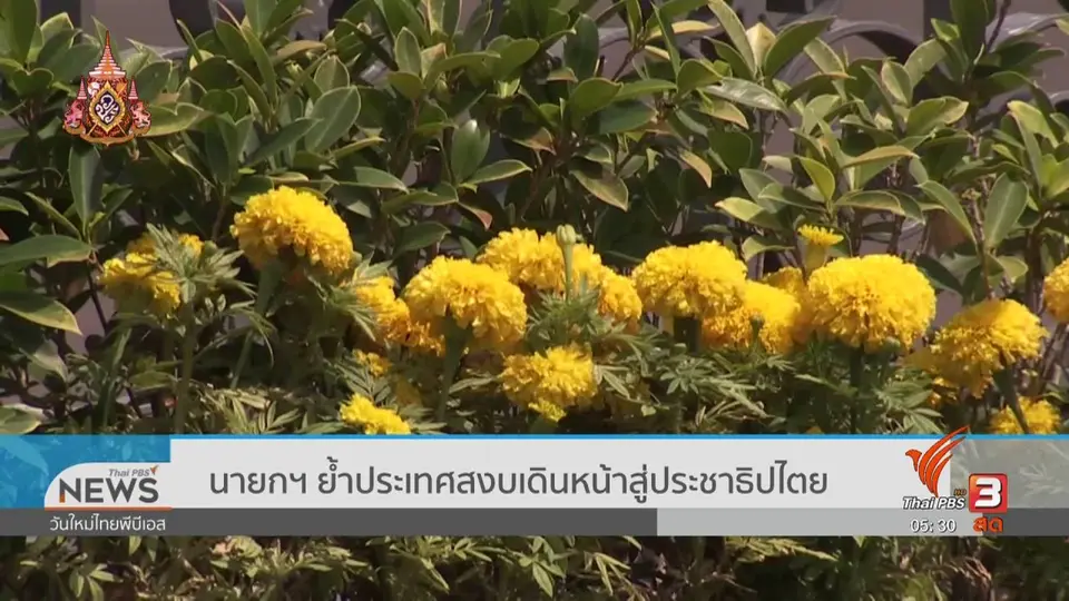 ​นายกฯ ย้ำประเทศสงบเดินหน้าสู่ประชาธิปไตย
