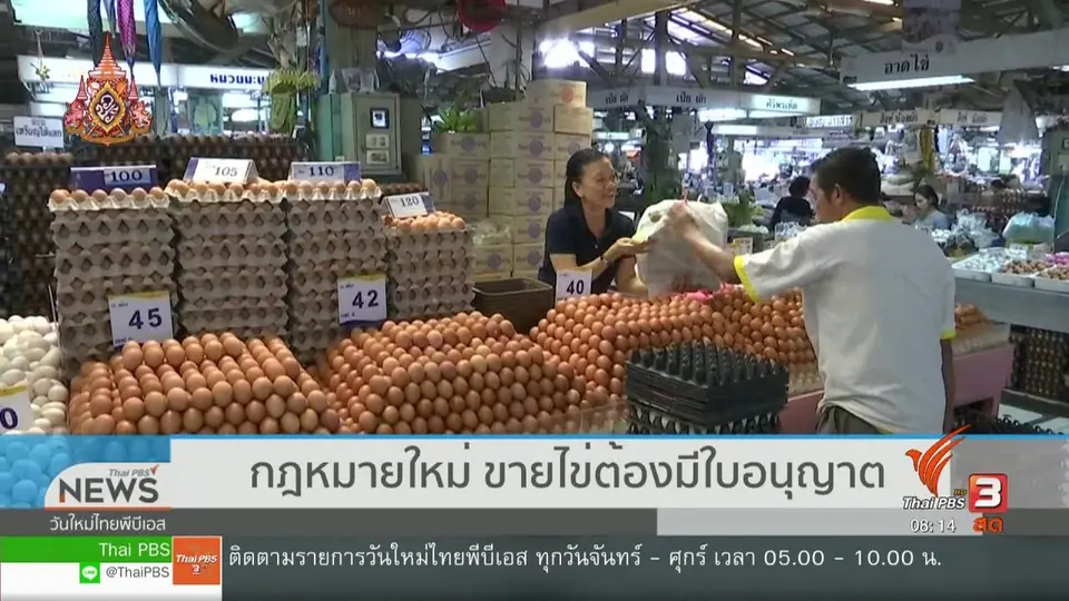 จับตาข่าวเด่น : กฎหมายใหม่ ขายไข่ต้องมีใบอนุญาต
