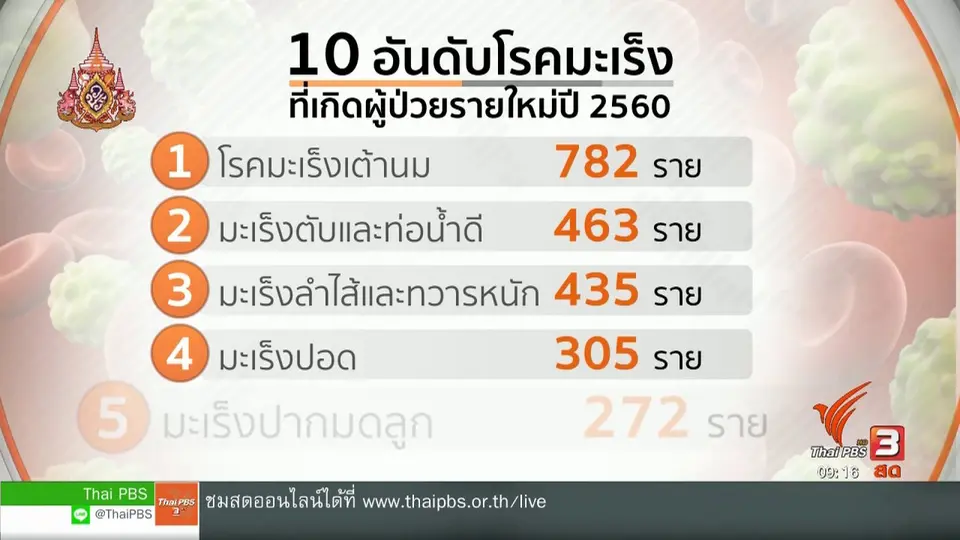 ประเด็นทางสังคม : "มะเร็งปากมดลูก" รักษาให้หายได้