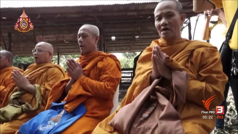 เตรียมนำช้าง 11 เชือก ถวายพระพร