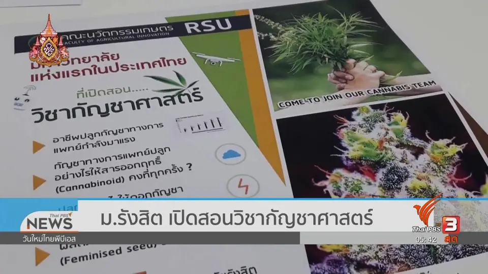 ​ม.รังสิต เปิดสอนวิชากัญชาศาสตร์