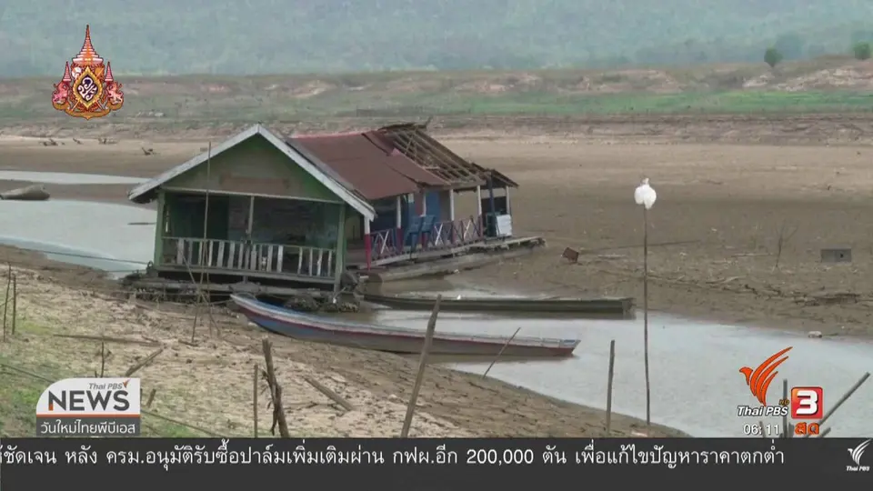 เชียงใหม่แล้งหนัก ทะเลสาบดอยเต่าเป็นทุ่งเลี้ยงสัตว์