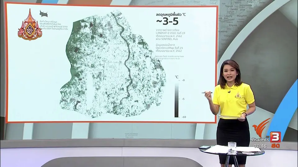 C-site Report : ภาคประชาชนเชียงใหม่ ร่วมเพิ่มพื้นที่สีเขียว