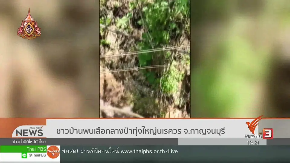 ​ชาวบ้านพบเสือกลางป่าทุ่งใหญ่นเรศวร จ.กาญจนบุรี