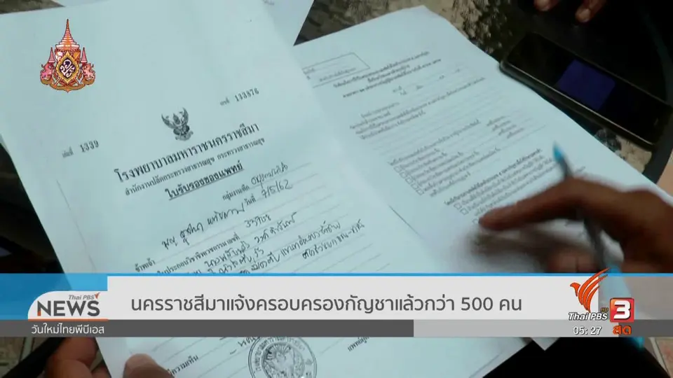 นครราชสีมาแจ้งครอบครองกัญชาแล้วกว่า 500 คน
