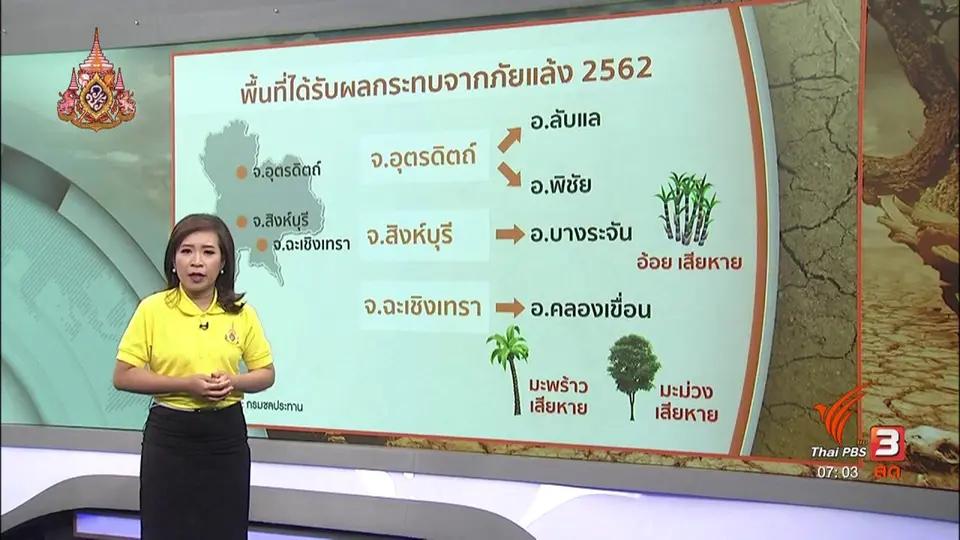 รวมใจฝ่าภัยแล้ง : ภัยแล้งกระทบพืชสวนและผลไม้บางส่วน