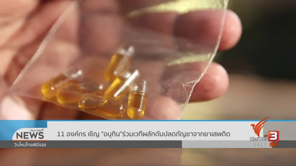 ​11 องค์กร เชิญ "อนุทิน" ร่วมเวทีผลักดันปลดกัญชาจากยาเสพติด