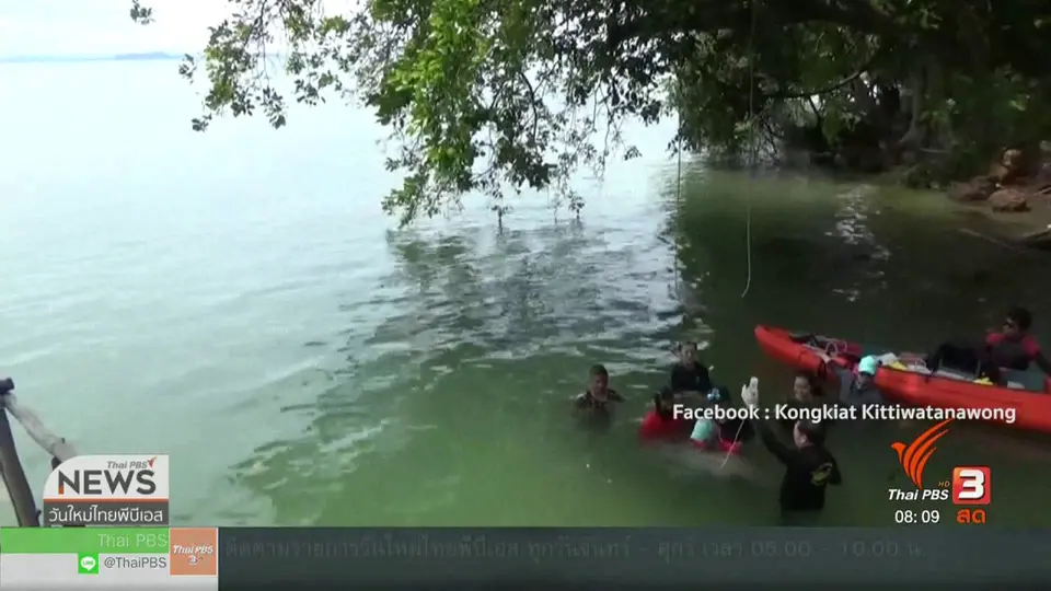 จับตาข่าวเด่น : "มาเรียม" ลูกพะยูนหลงแม่ แห่งทะเลตรัง