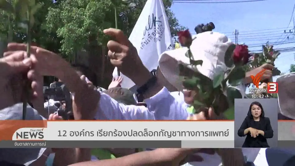 ​12 องค์กร เรียกร้องปลดล็อกกัญชาทางการแพทย์