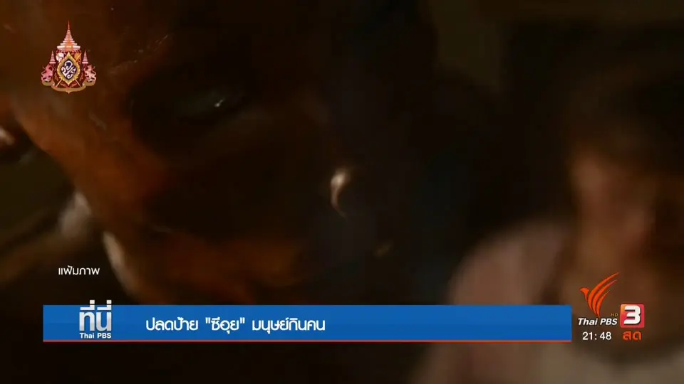 ศิริราชปลดป้าย "ซีอุย" มนุษย์กินคน