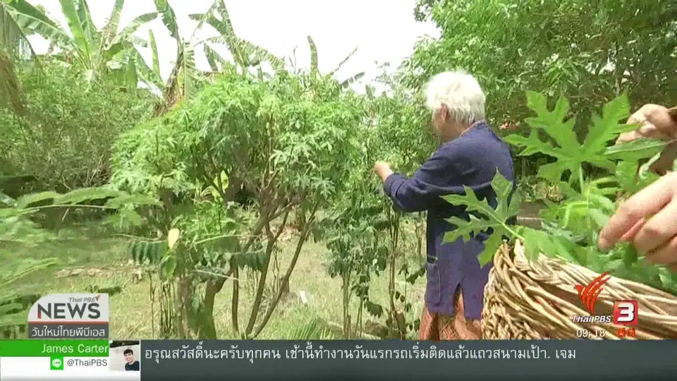 ​ประเด็นทางสังคม : ท่องเที่ยวเชิงอาหาร  ส่งผ่านวัฒนธรรมการกิน  โดยเชฟชุมชน