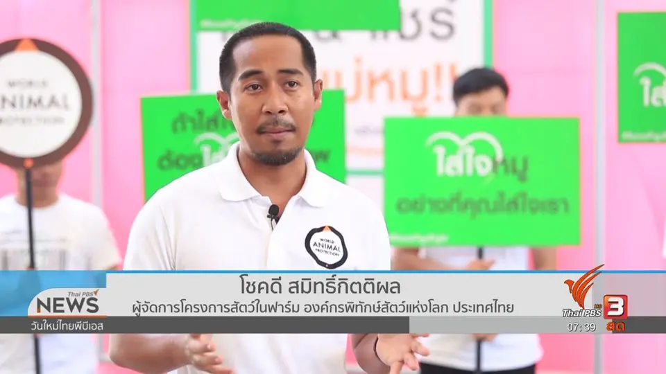 รู้เท่าทันภัย : พบแบคทีเรียดื้อยาปฏิชีวนะตกค้างในเนื้อหมู