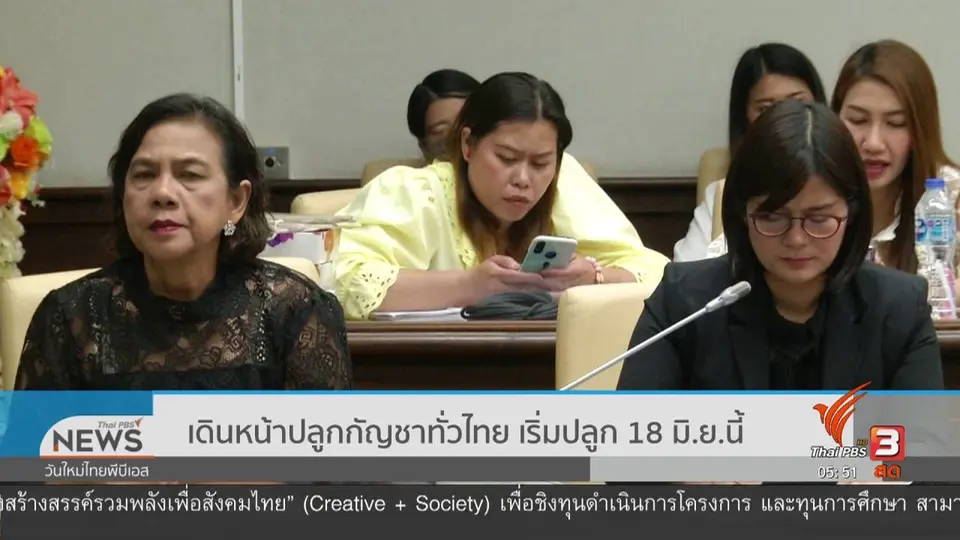 ​เดินหน้าปลูกกัญชาทั่วไทย เริ่มปลูก 18 มิ.ย.นี้