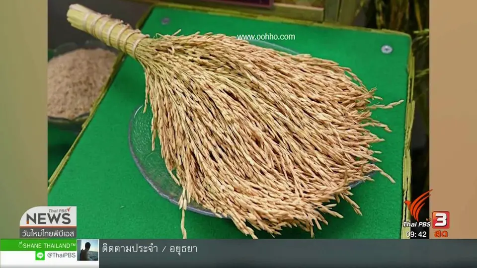 ​สีสันทั่วไทย (7 มิ.ย. 62)