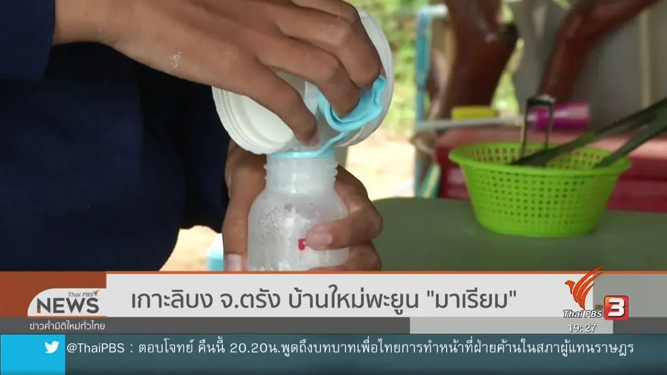 เกาะลิบง จ.ตรัง บ้านใหม่พะยูน มาเรียม