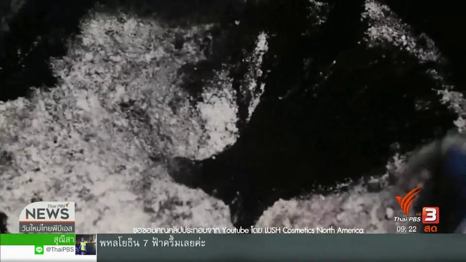 ประเด็นทางสังคม : เกาะกระแส Anti Plastic พลิกวิกฤตเป็นโอกาส