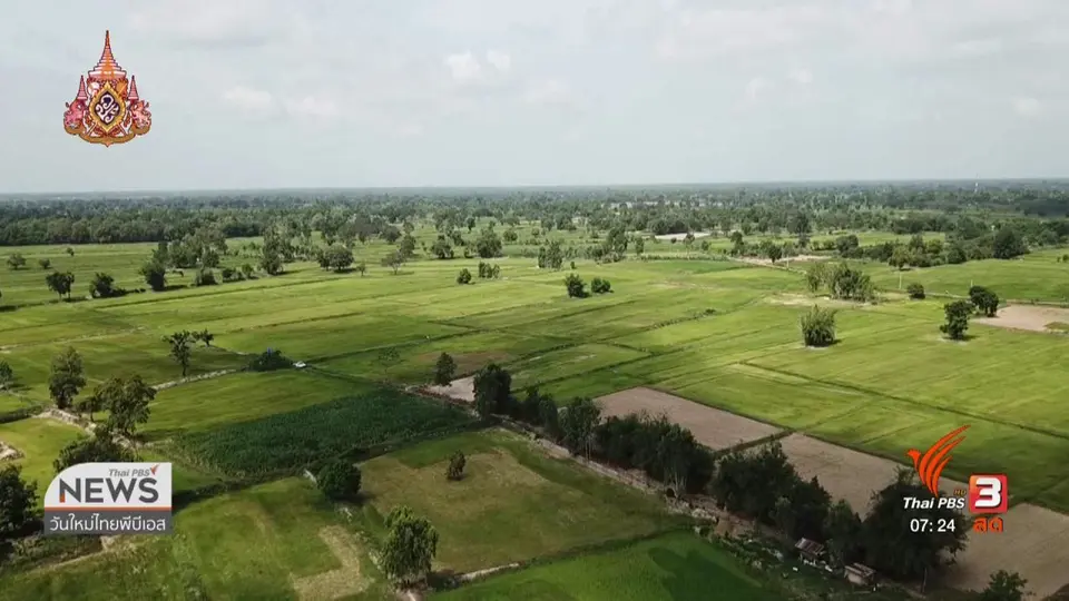 ลงทุนทำกิน : ชาวนาค้านนโยบายประกันรายได้