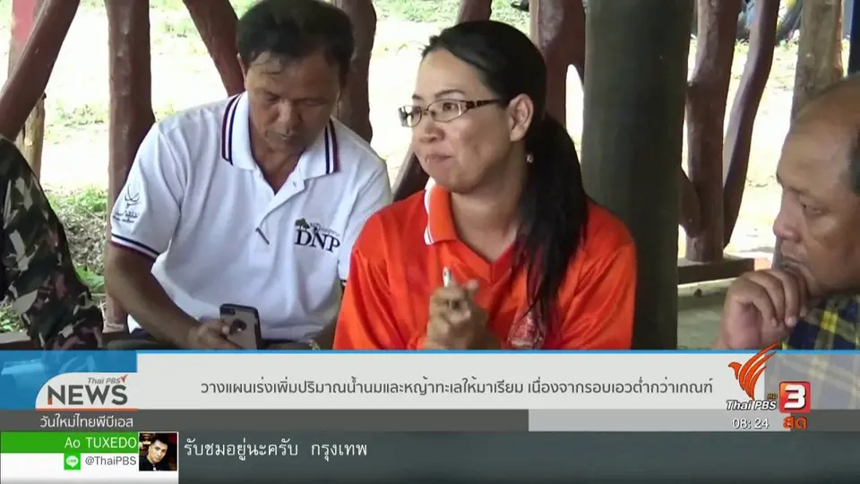 จับตาข่าวเด่น : วางแผนเร่งเพิ่มน้ำนมและหญ้าทะเลให้มาเรียม