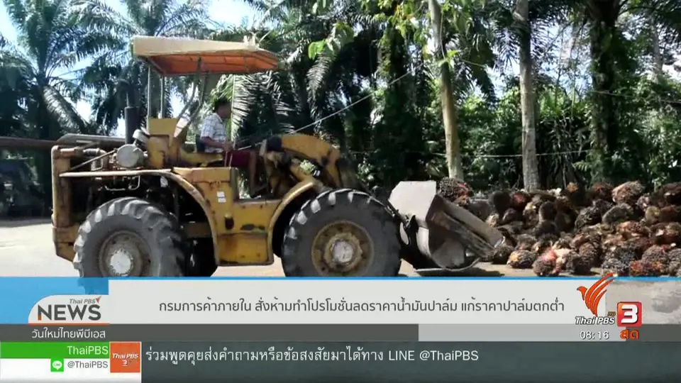 จับตาข่าวเด่น : กรมการค้าภายใน สั่งห้ามทำโปรโมชันลดราคาน้ำมันปาล์ม