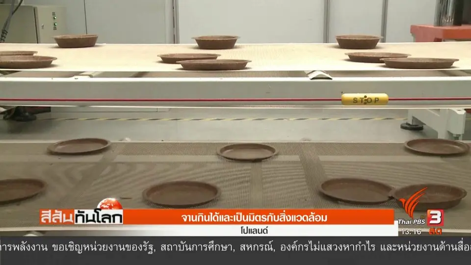 จานกินได้และเป็นมิตรกับสิ่งแวดล้อม