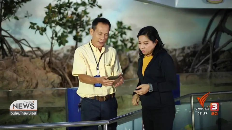 รู้เท่าทันภัย : อันตรายจากการรับประทานแมงดาทะเลมีพิษ