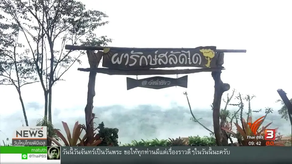 สีสันวาไรตี้ (17 มิ.ย. 62)