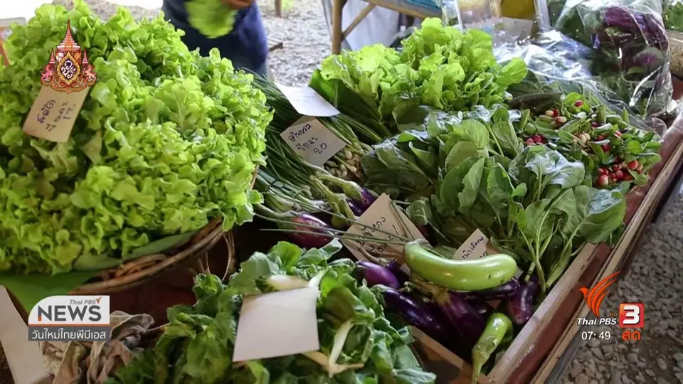 C-site Report : ตลาดสุขใจ พื้นที่ส่งตรงอาหารจากผู้ผลิตถึงผู้บริโภค